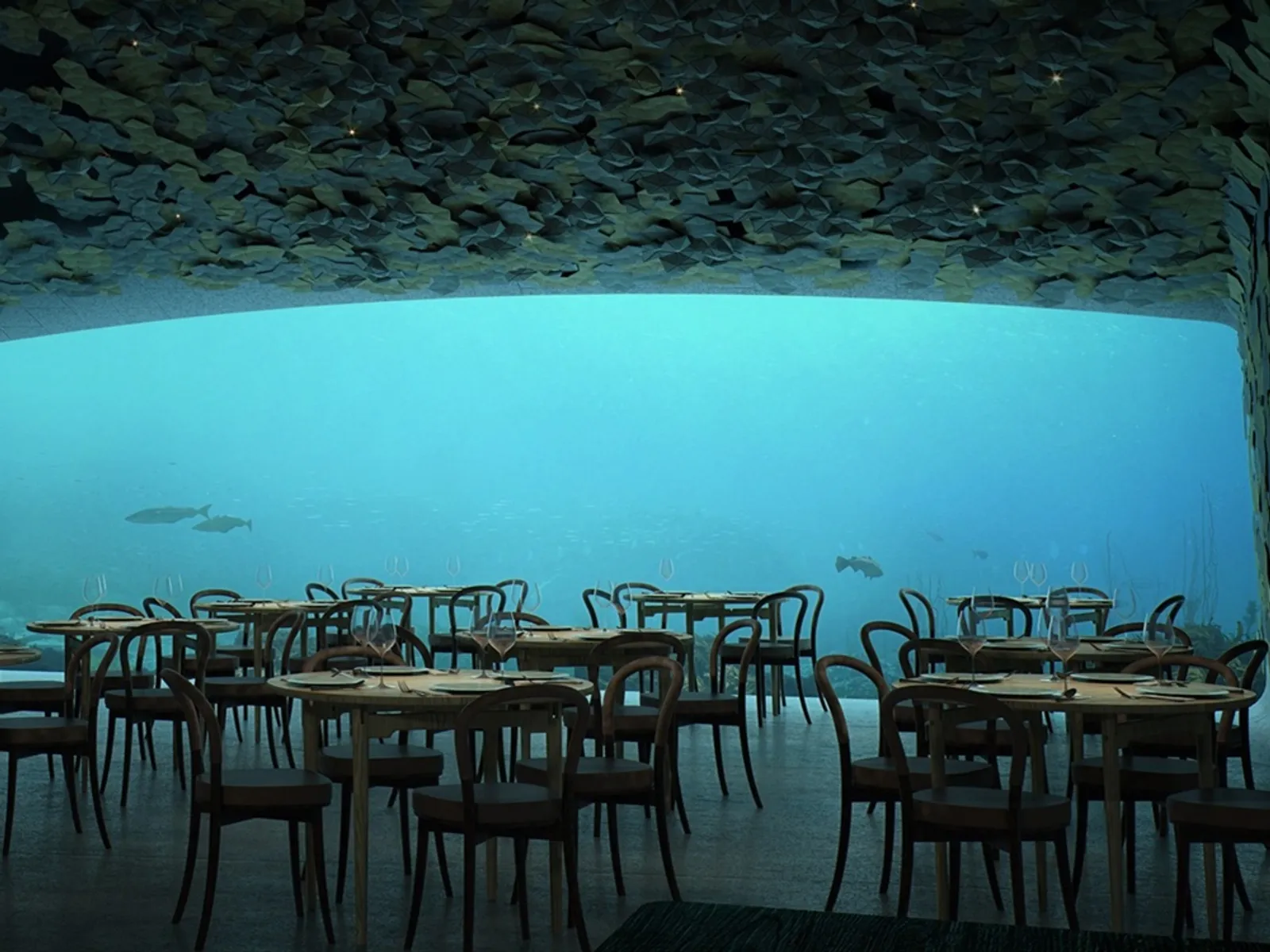 Keren! Begini Tampilan Restoran Bawah Laut Pertama di Eropa