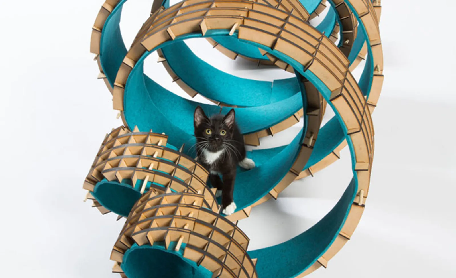 Prihatin dengan Kucing Liar, Para Arsitektur Rancang Instalasi Unik Ini 