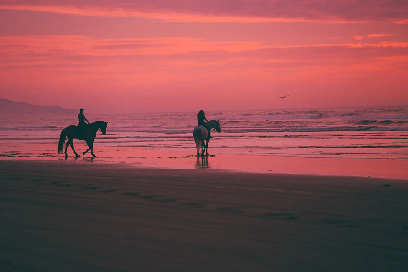 9 Pantai Berpasir Pink Ini Cocok Buat Destinasi Romantis Saat Valentine
