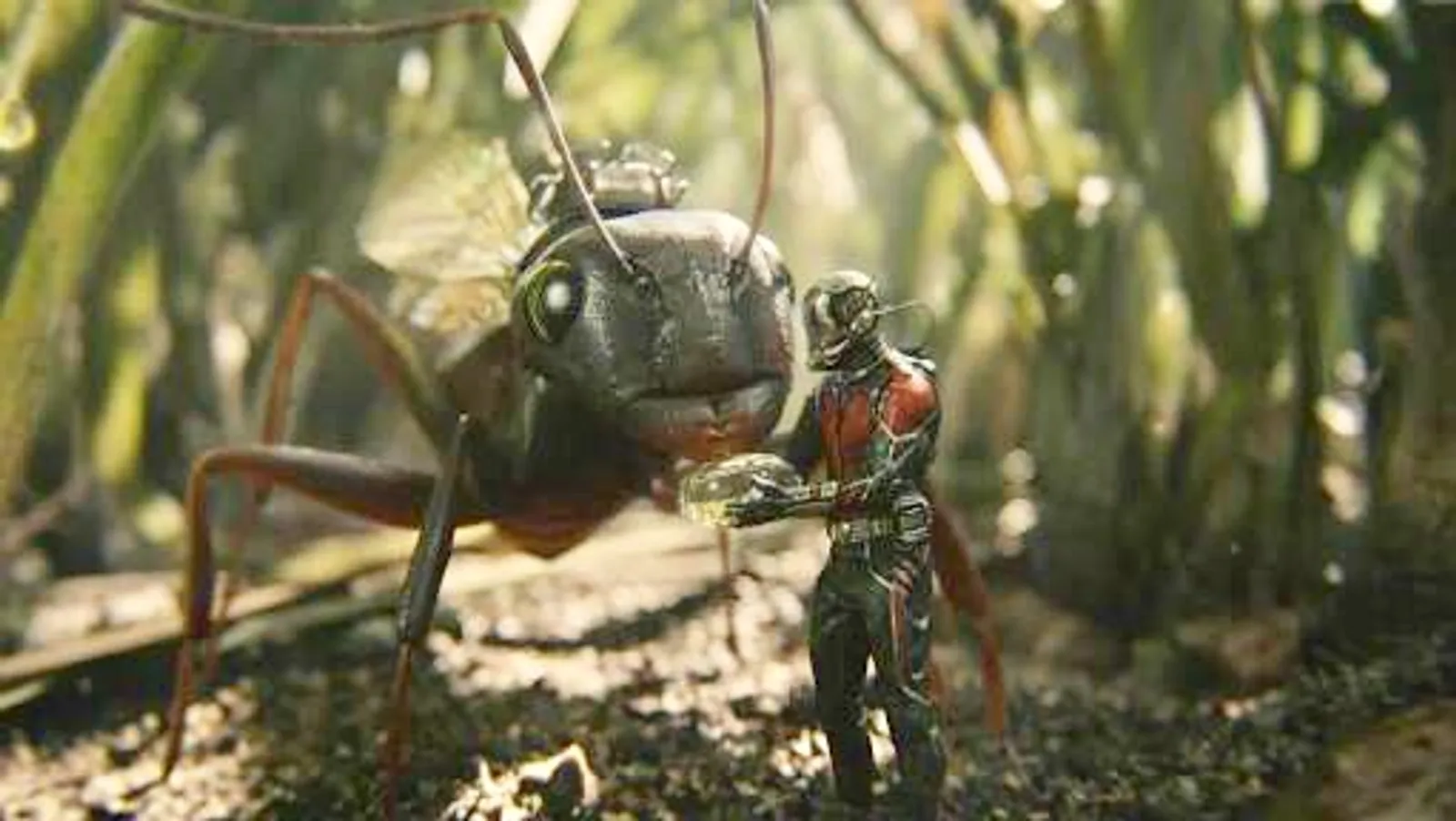 5 Keheranan yang Muncul Setelah Menonton Trailer Film 'Ant-Man and The Wasp' 
