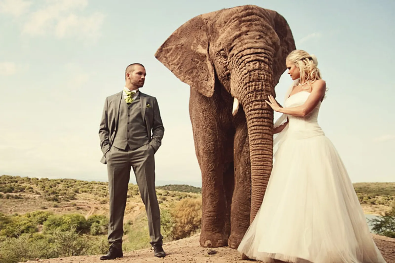Bukan Rekayasa, Ini 10 Sesi Foto Pernikahan Paling Berbahaya di Dunia