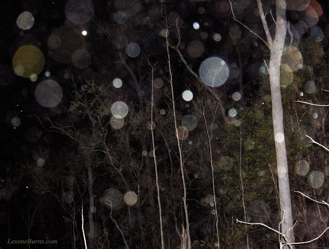 Ada Penampakan? Ini 5 Alasan Munculnya Orbs Pada Fotomu