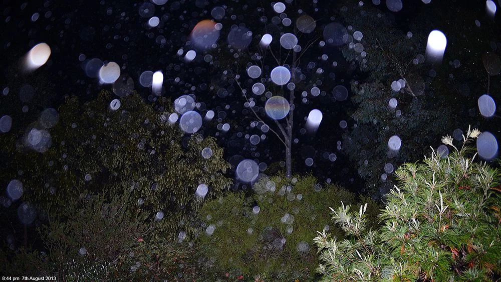 Ada Penampakan? Ini 5 Alasan Munculnya Orbs Pada Fotomu