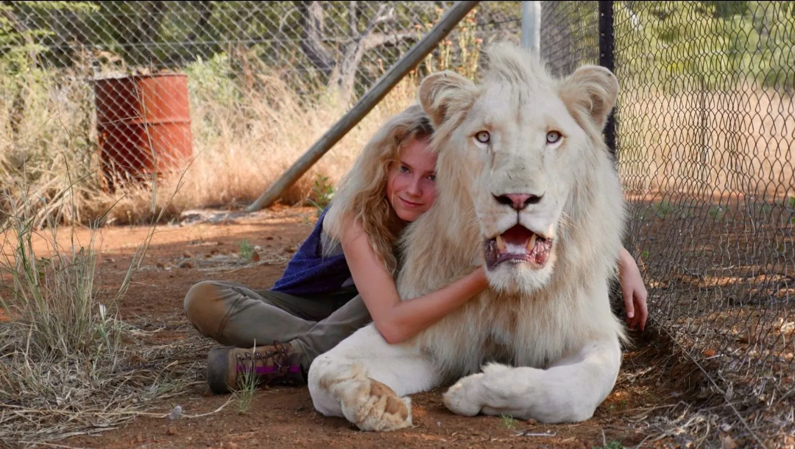 Review Film: Mia and The White Lion, Persahabatan Manusia dan Hewan