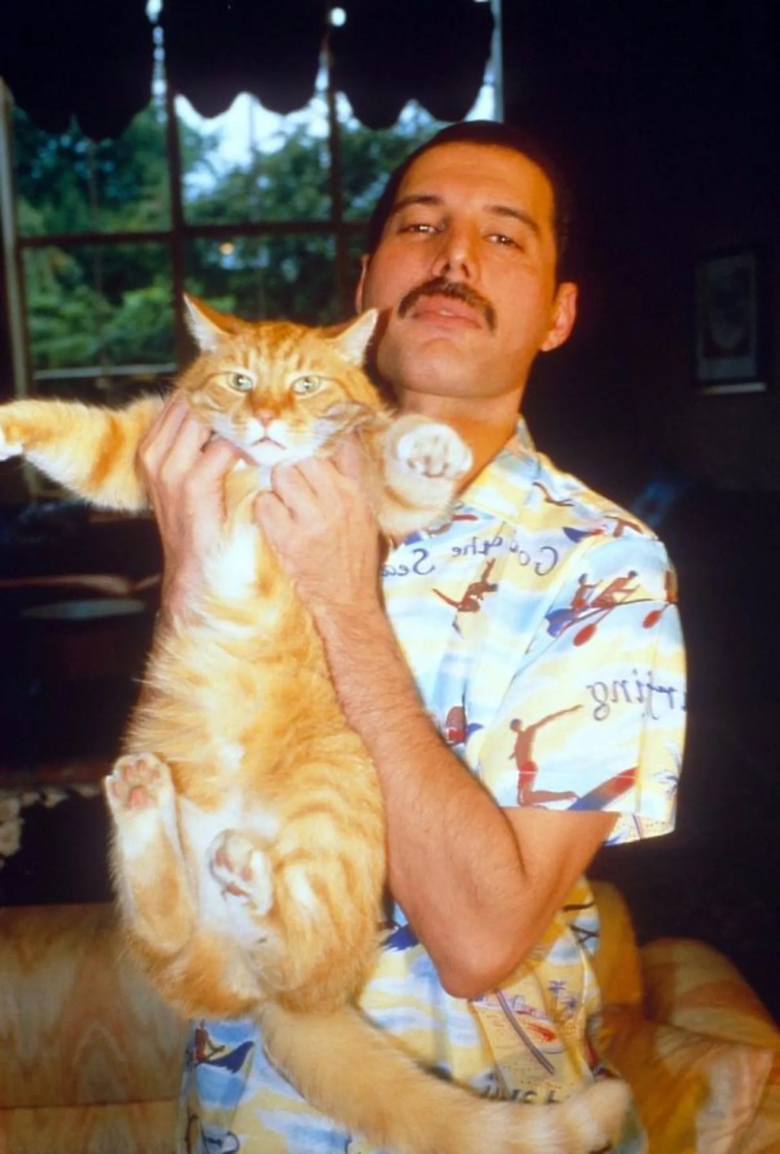 7 Fakta Kucing dalam Kehidupan Freddie Mercury Vokalis Queen 