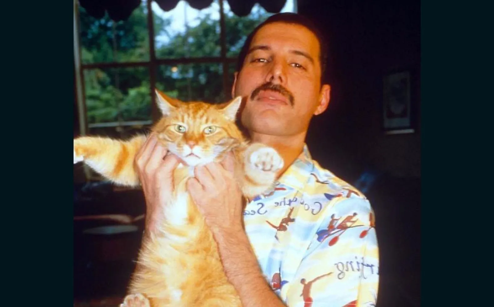 7 Fakta Kucing dalam Kehidupan Freddie Mercury Vokalis Queen 