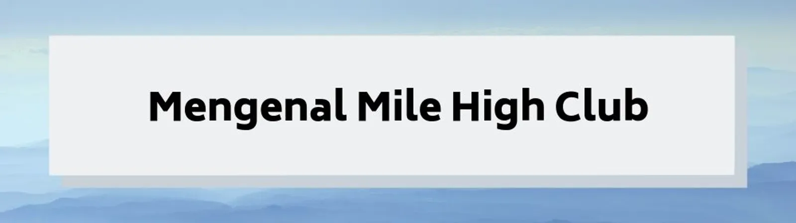 Mile High Club, Aktivitas Bercinta di Dalam Pesawat Terbang