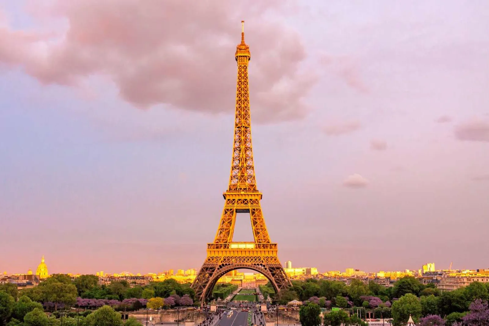 Pelanggaran! Mengunggah Gambar Eiffel di Media Sosial Menyalahi Hukum?