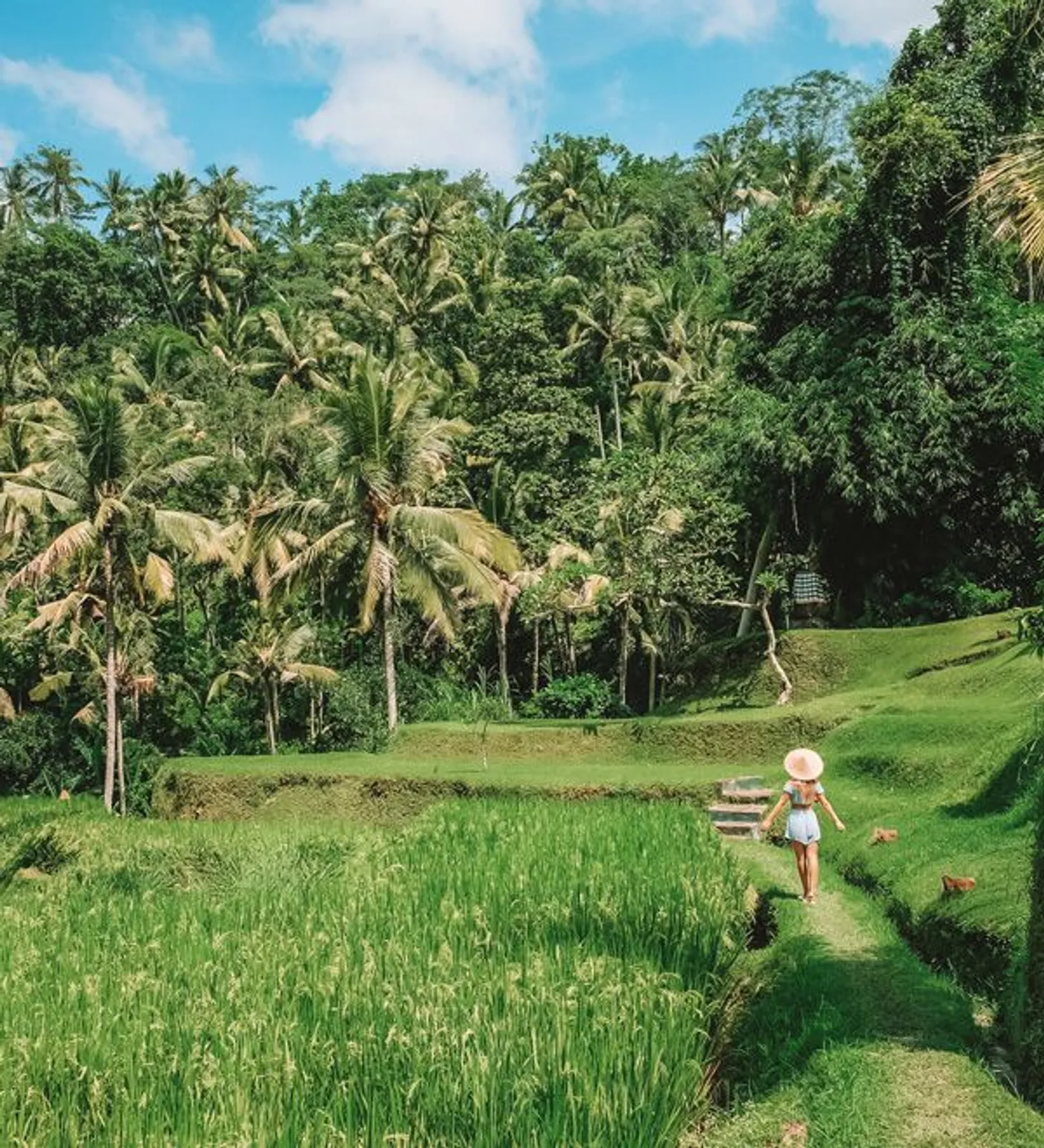 Pertama Kali ke Bali? Ini 9 Hal yang Harus Kamu Tahu