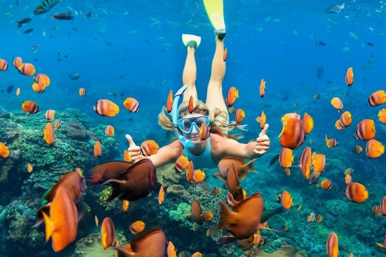 Hobi Snorkeling atau Diving? Kamu Wajib Datang ke Tempat Ini