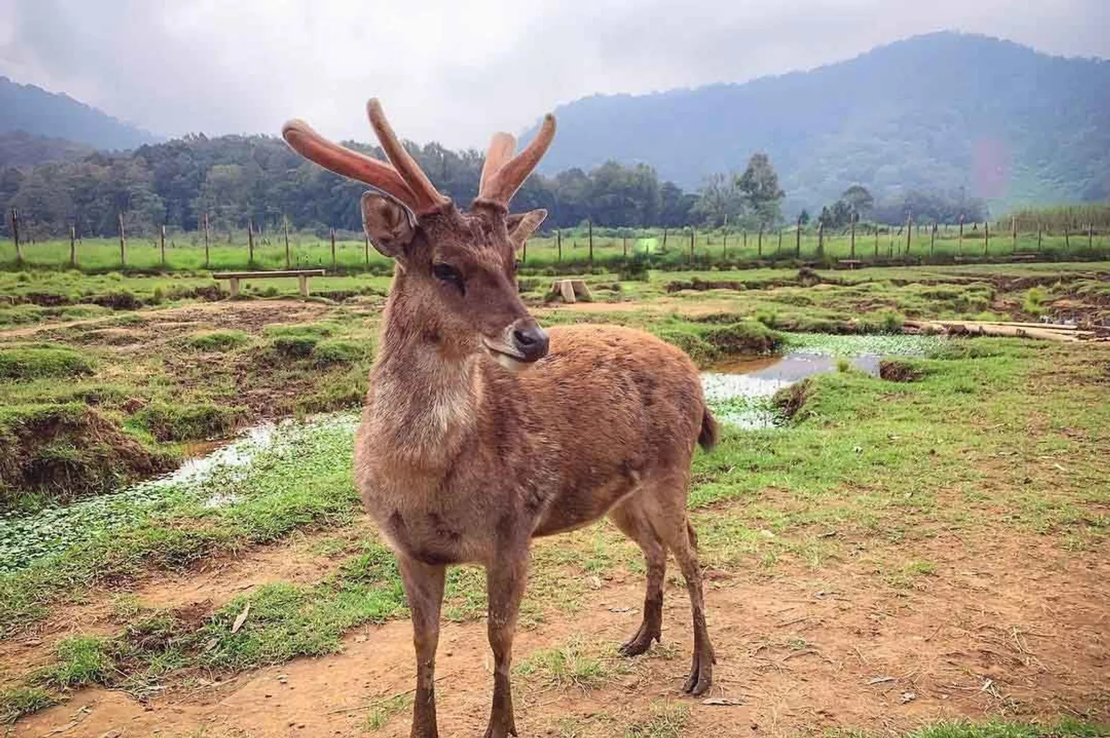 20 Tempat Wisata Alam di Bandung Populer yang Menyejukkan Mata