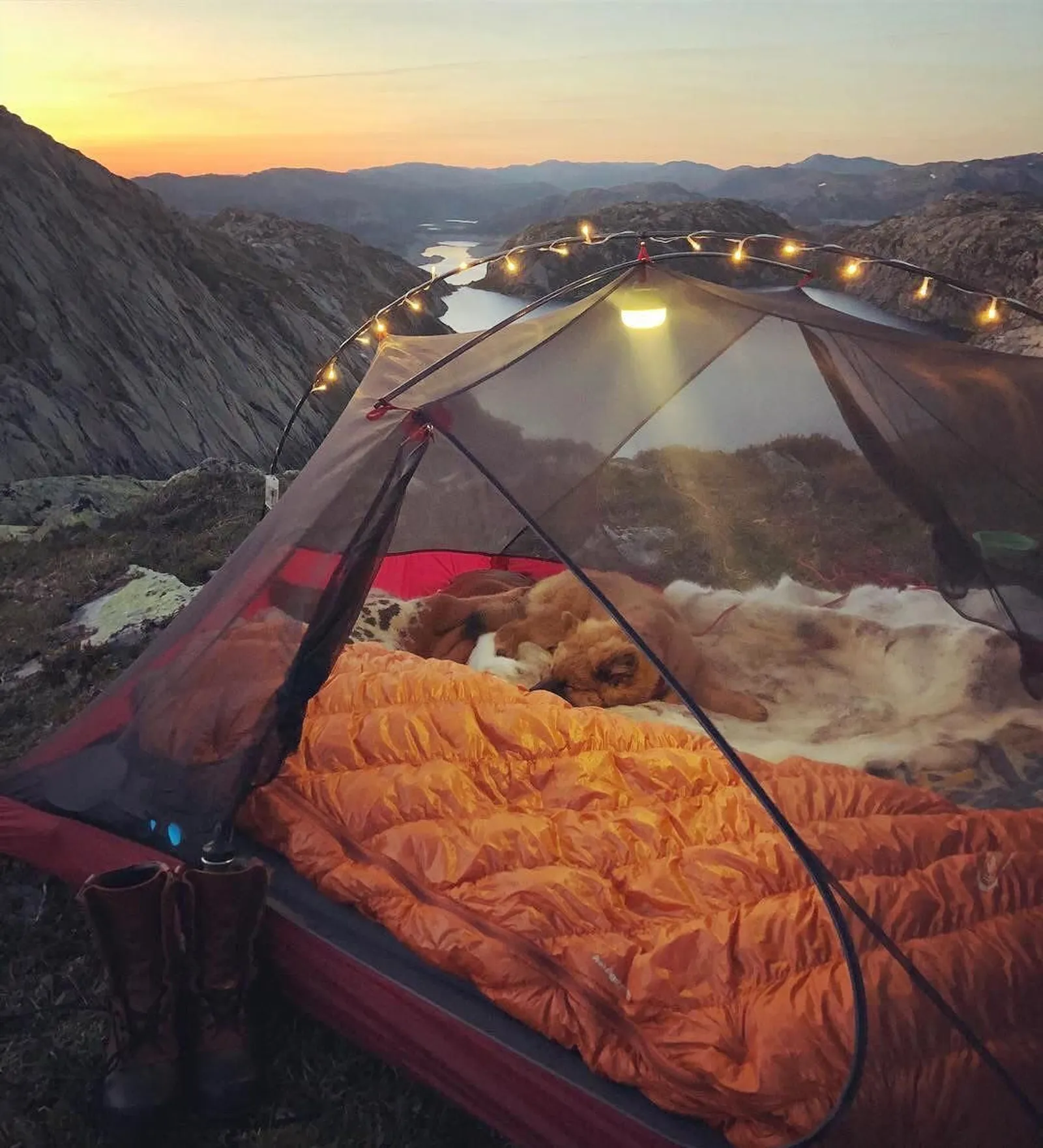 7 Inspirasi Tenda Transparan yang Membuat Camping-mu Semakin Seru