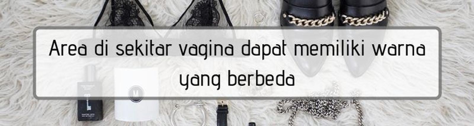 Kenali Organ Intimmu! Ini 13 Fakta Menarik Seputar Miss V