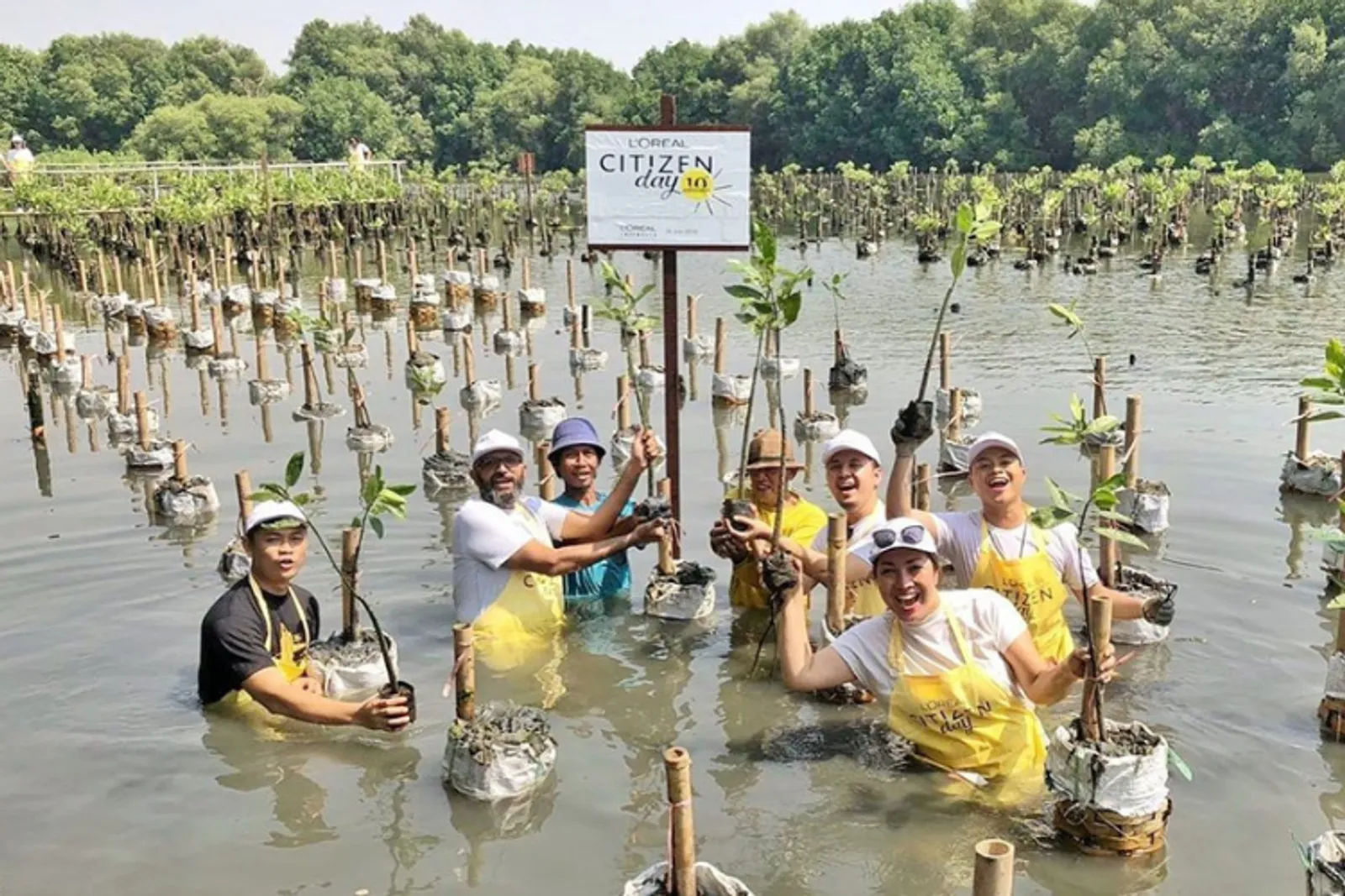 Peduli Alam, L'Oréal Tanam Pohon Mangrove di Citizen Day 2019