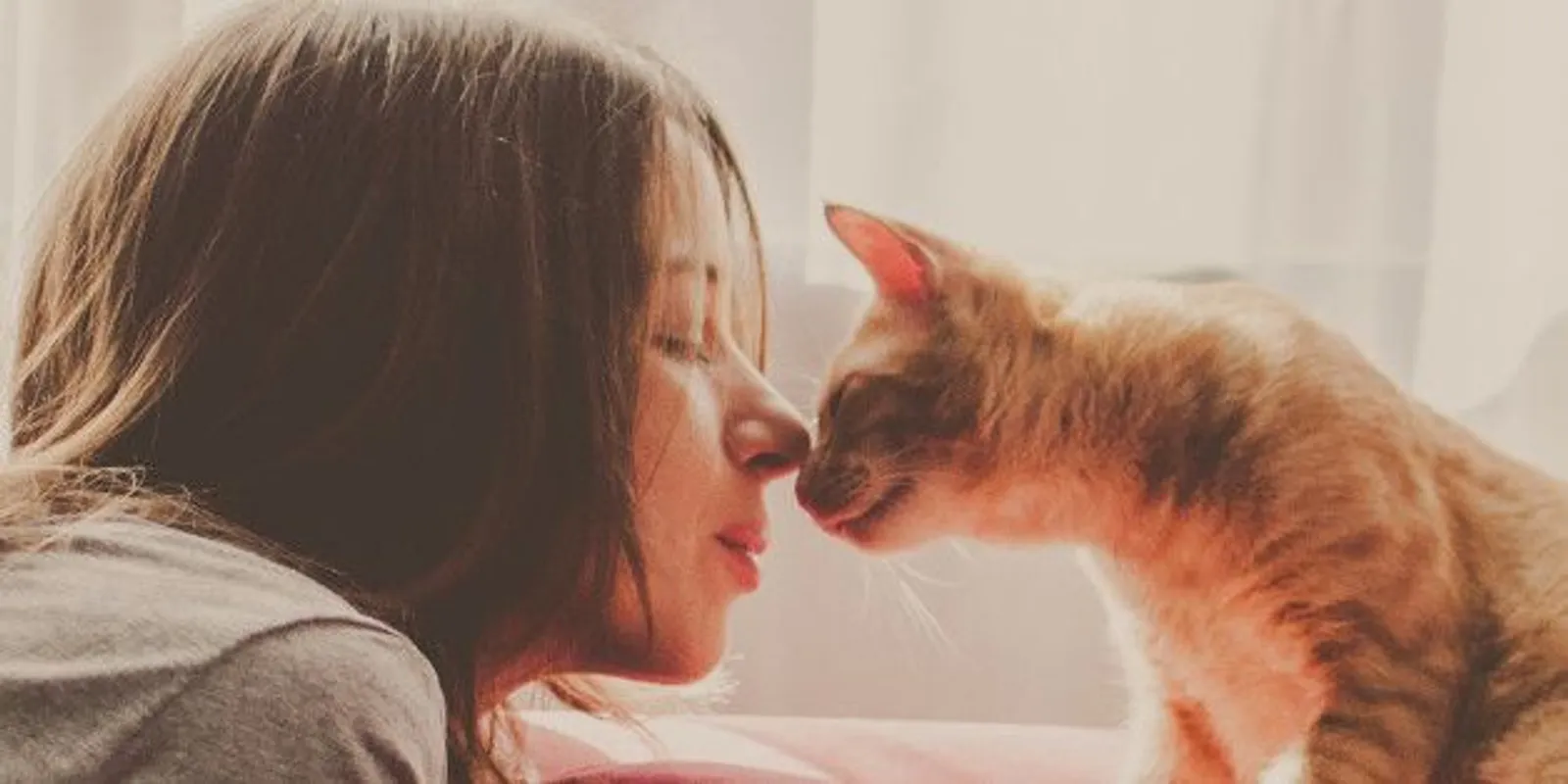 Bikin Terharu, Ini 7 Cara Kucing Menunjukan Rasa Cintanya