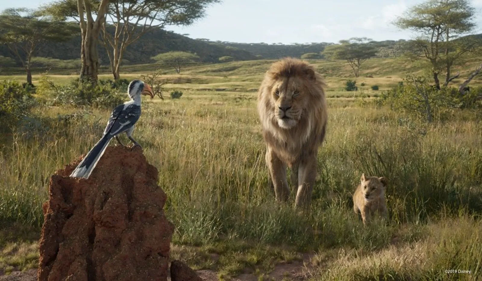 Review Film The Lion King: Live Action yang di Luar Ekspektasi
