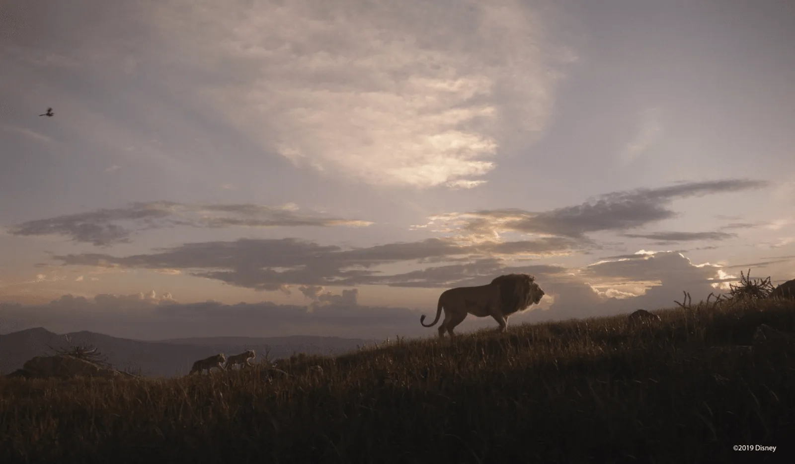 Review Film The Lion King: Live Action yang di Luar Ekspektasi