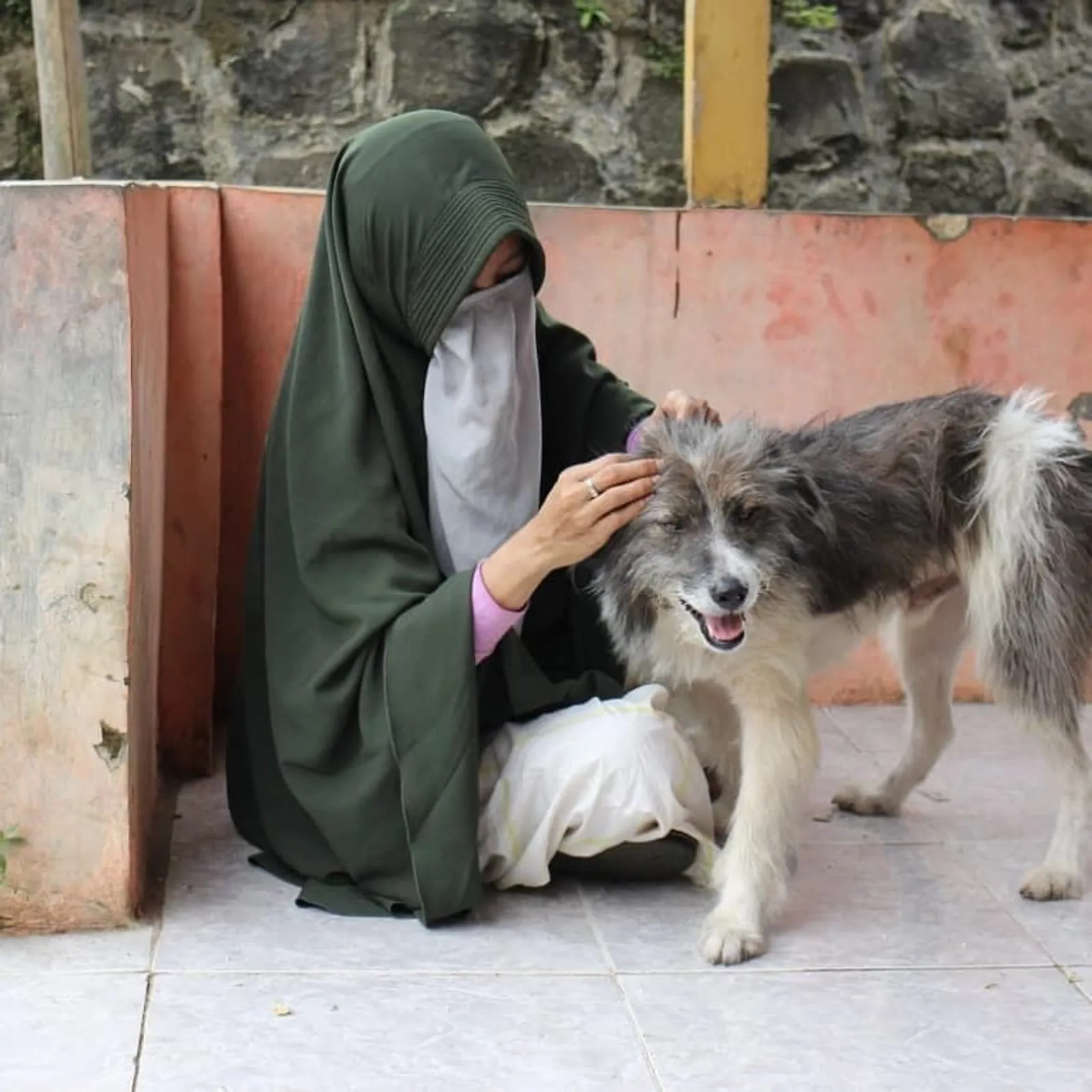 Hesti Sutrisno, Potret Perempuan Bercadar Pencinta Anjing
