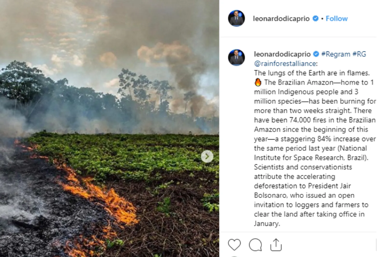 Hutan Amazon Terbakar, Ini 10 Artis yang Tunjukkan Kepeduliannya 