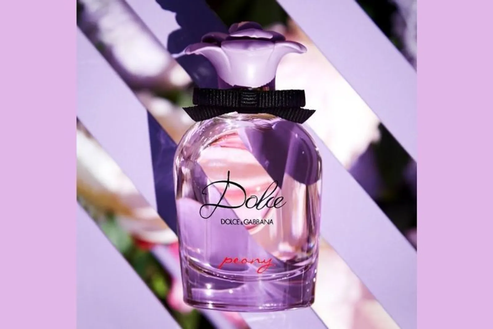Dolce & Gabbana Rilis Parfum Terbaru yang Bisa Membawa Keberuntungan