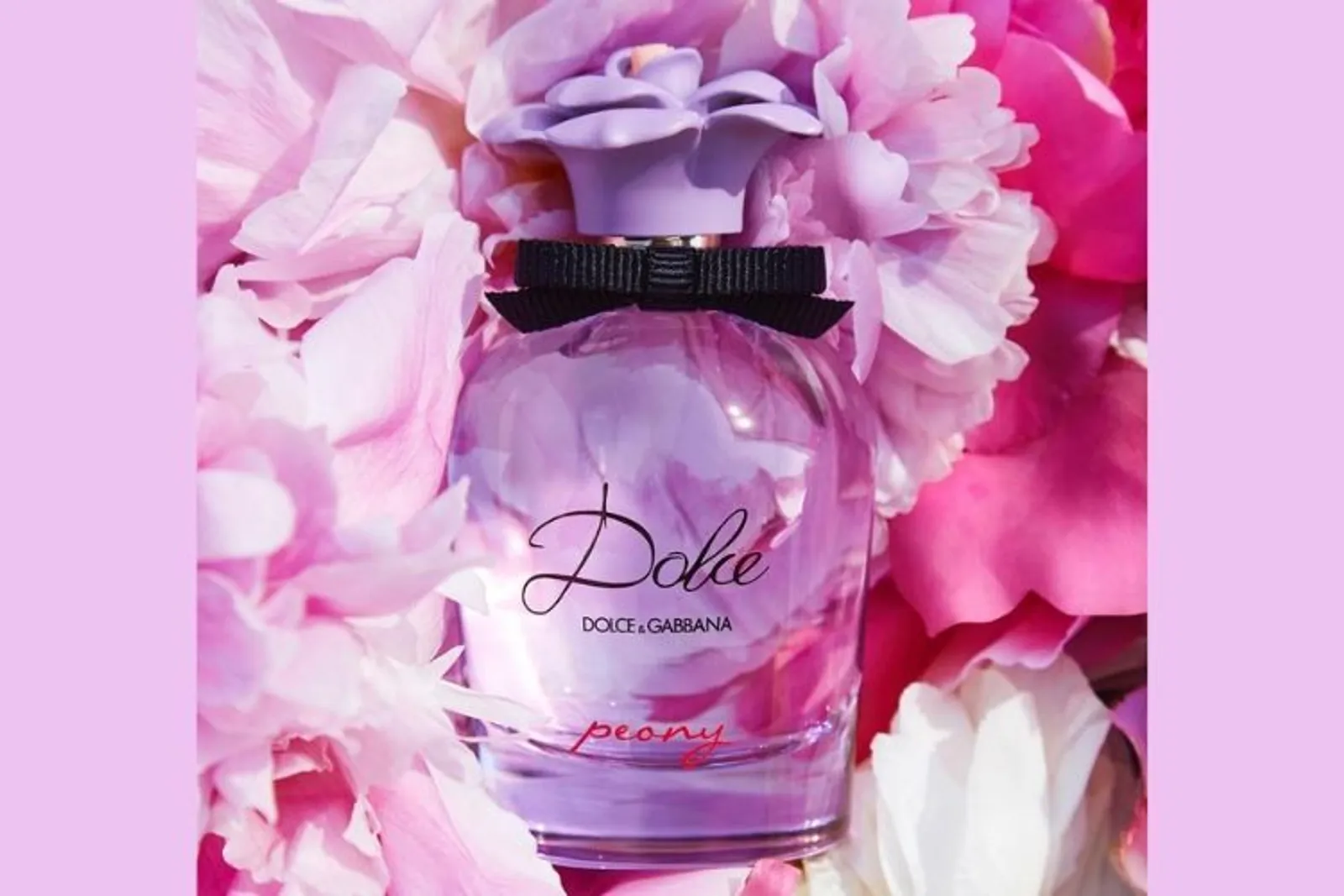 Dolce & Gabbana Rilis Parfum Terbaru yang Bisa Membawa Keberuntungan