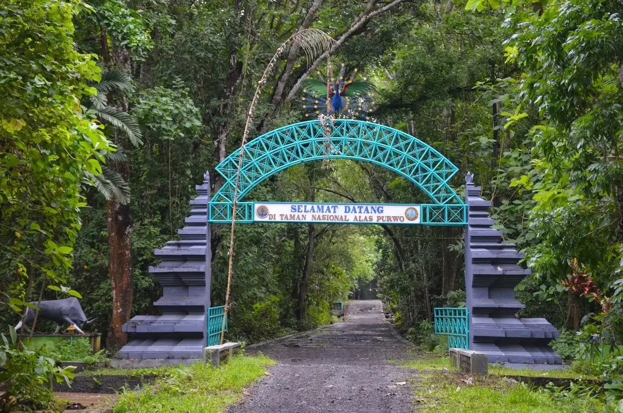 7 Tempat yang Diduga Jadi Lokasi KKN Desa Penari