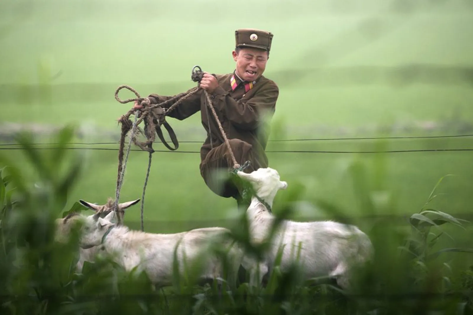 32 Foto Rahasia di Perbatasan Korea Utara yang Sukses Dikumpulkan