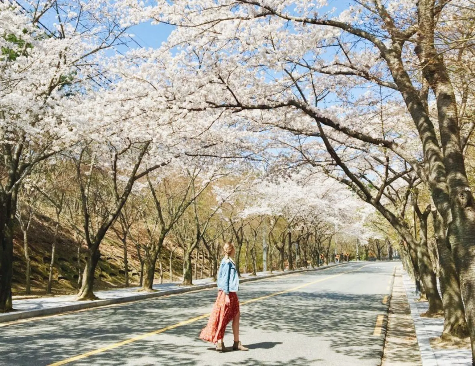 7 Kota Ini Cocok Jadi Tujuan Traveling untuk Kamu yang Hobi Jalan Kaki