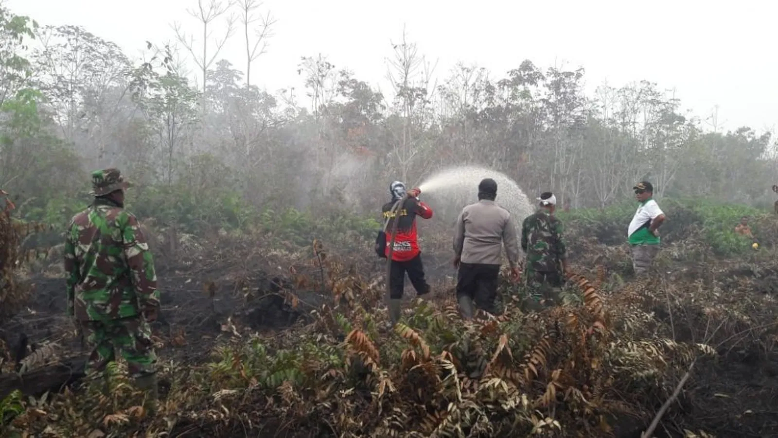 Selain Indonesia, 11 Negara Ini Pernah Kewalahan Atasi Kebakaran Hutan