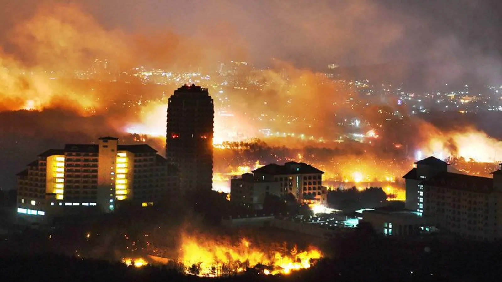 Selain Indonesia, 11 Negara Ini Pernah Kewalahan Atasi Kebakaran Hutan
