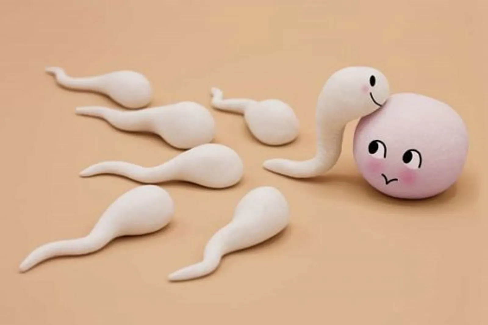 Manfaat Sperma Bagi Perempuan, Mitos atau Fakta?