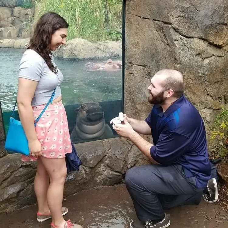 Gagal Romantis, 9 Photobomb Kocak Ini Justru Merusak Momen Bahagia