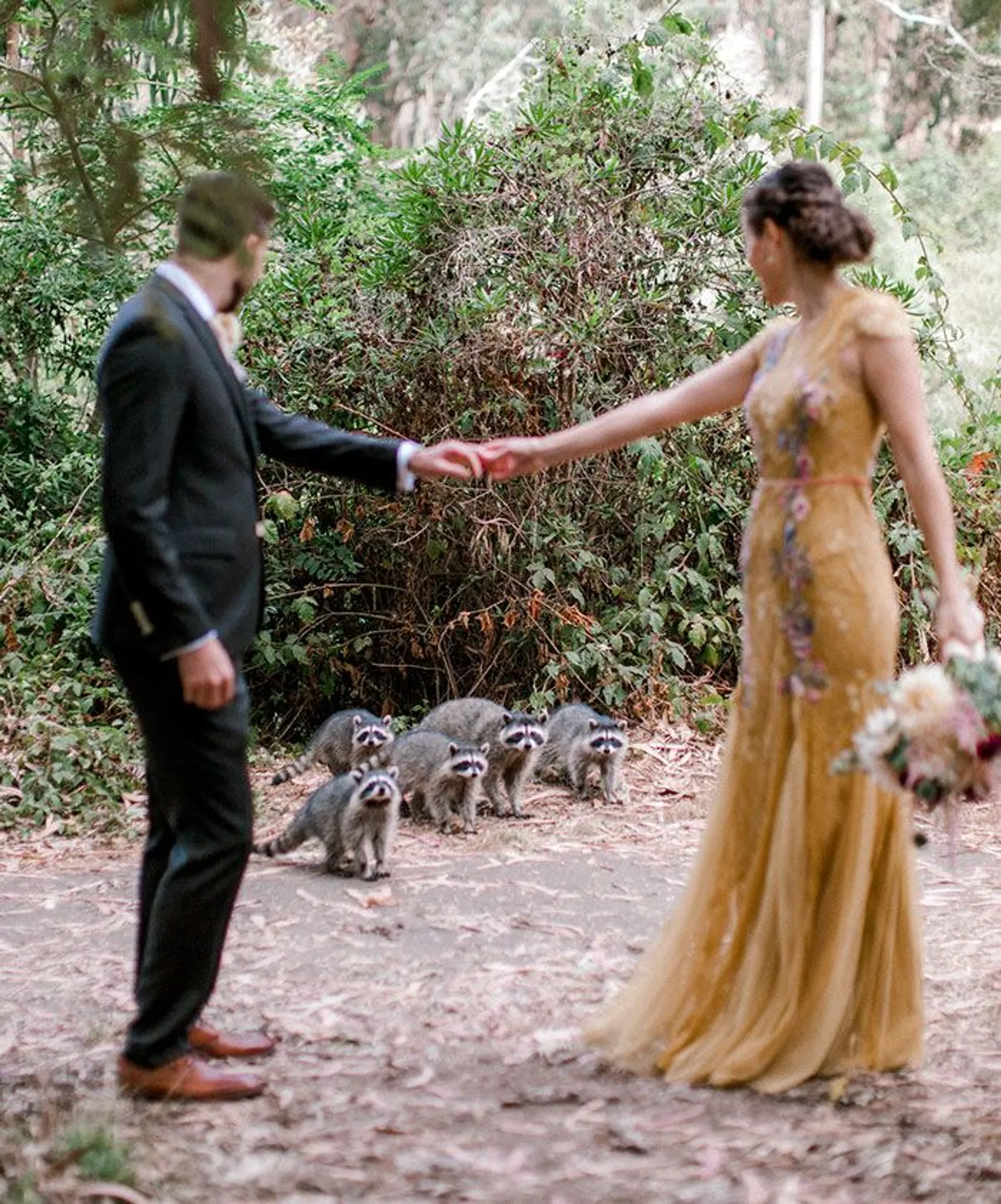 Diganggu Makhluk Liar, Sesi Foto Pernikahan Ini Mendadak Viral