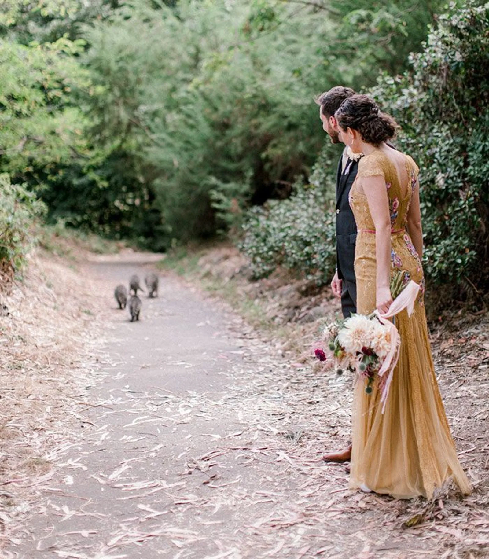 Diganggu Makhluk Liar, Sesi Foto Pernikahan Ini Mendadak Viral