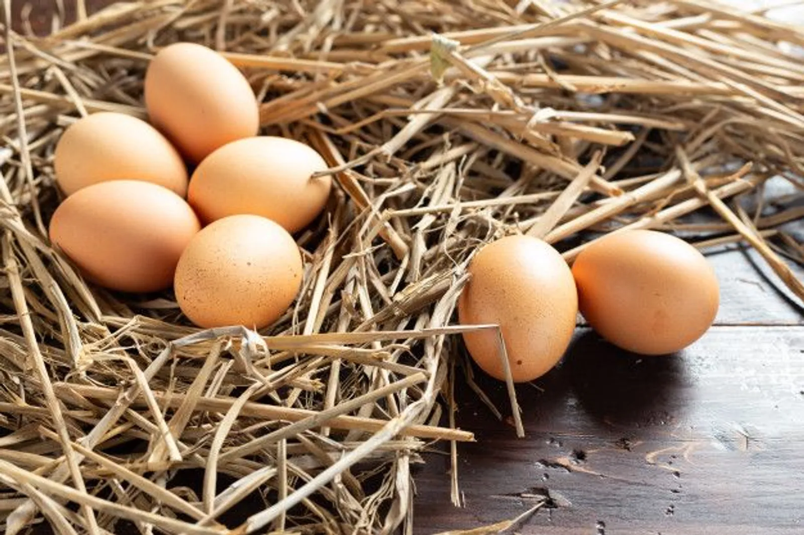Rahasia Menyimpan Telur Tetap Segar