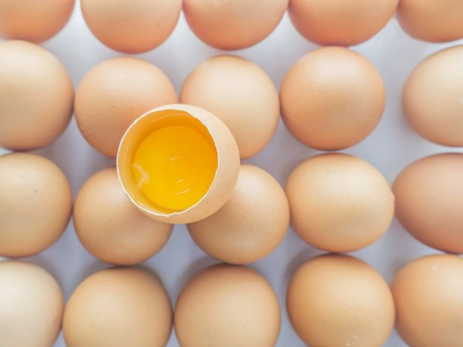 Rahasia Menyimpan Telur Tetap Segar