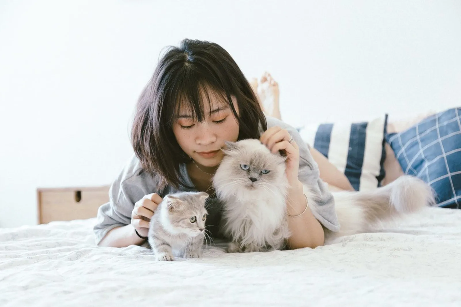 12 Tips Mudah Membersihkan Rumah Bagi Pemelihara Kucing dan Anjing