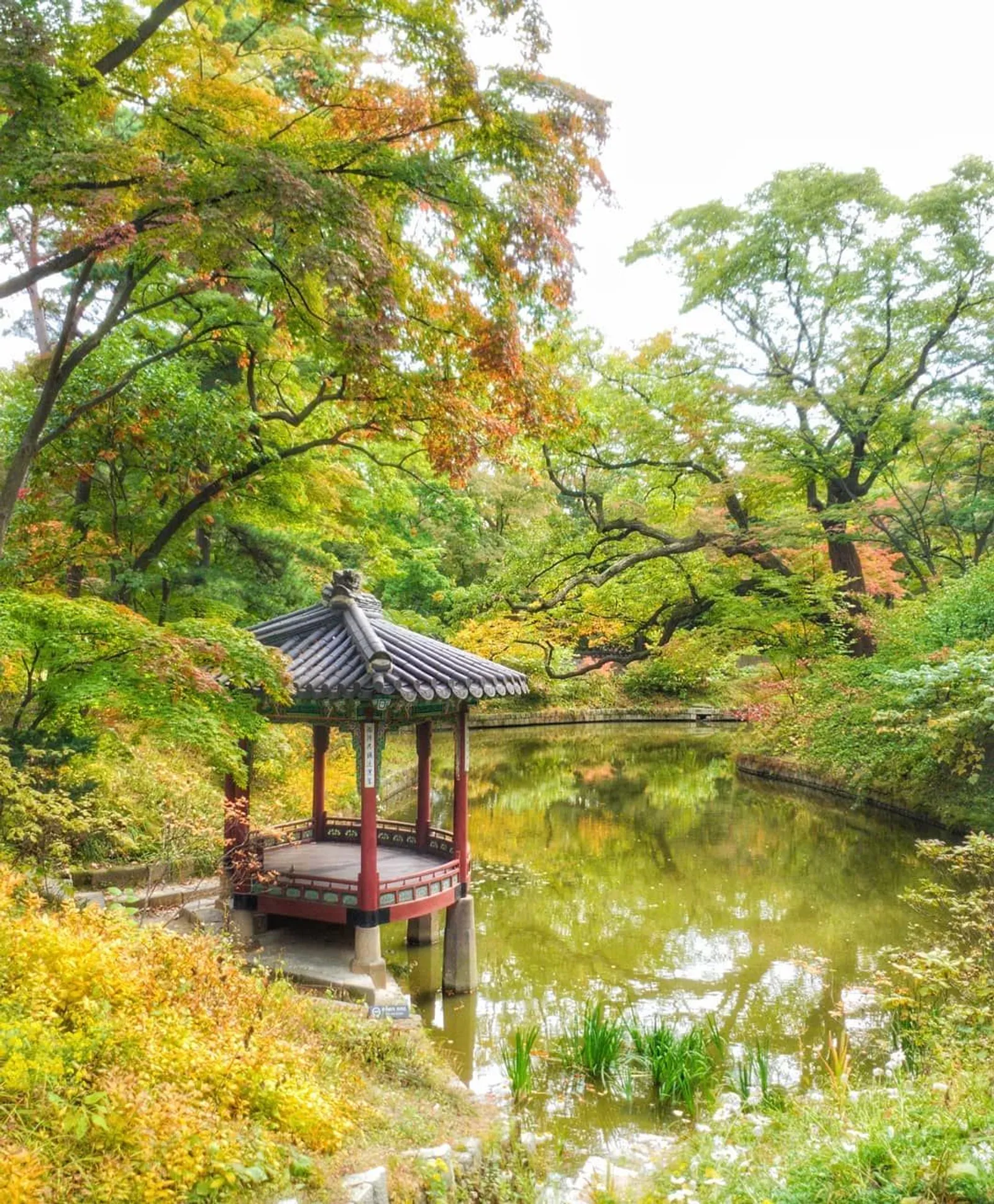 9 Destinasi Korea Selatan untuk Nikmati Musim Gugur Romantis 