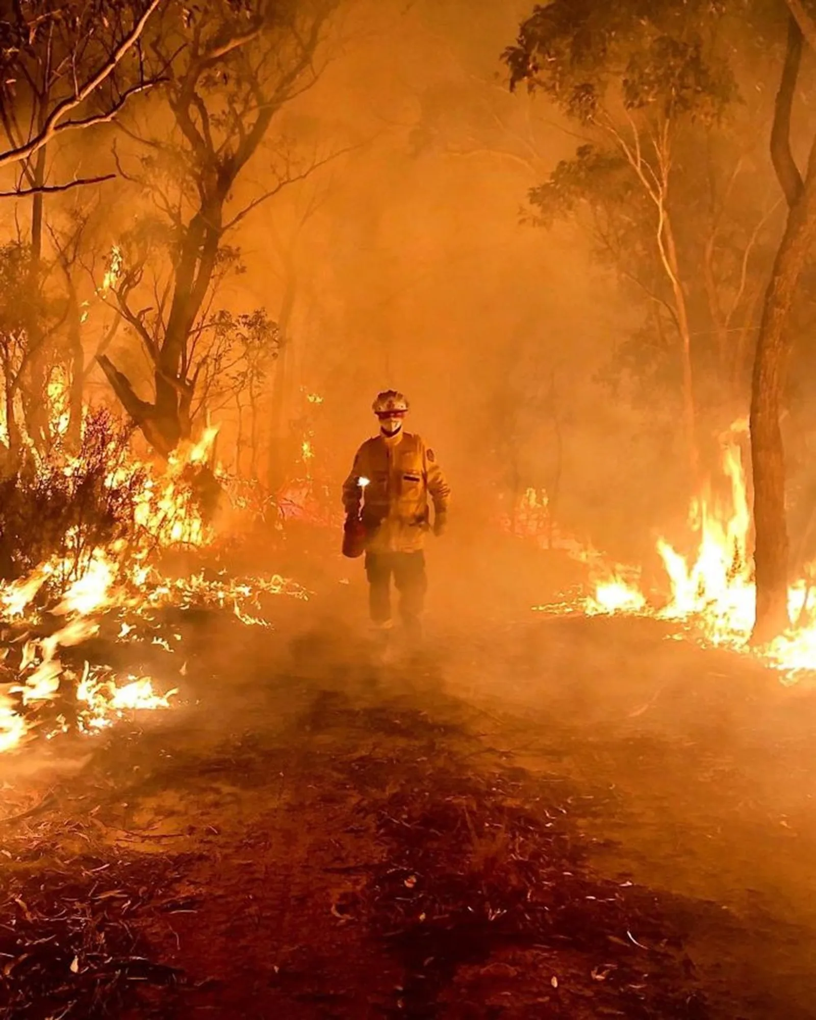 Memprihatinkan, Inilah Kondisi Australia yang Tengah Dilanda Kebakaran
