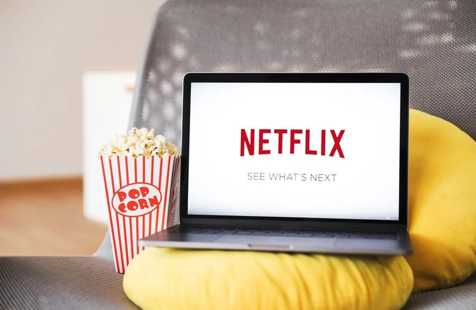 Ini 5 Keuntungan Besar Untukmu Dari Kerjasama Netflix dan Kemendikbud