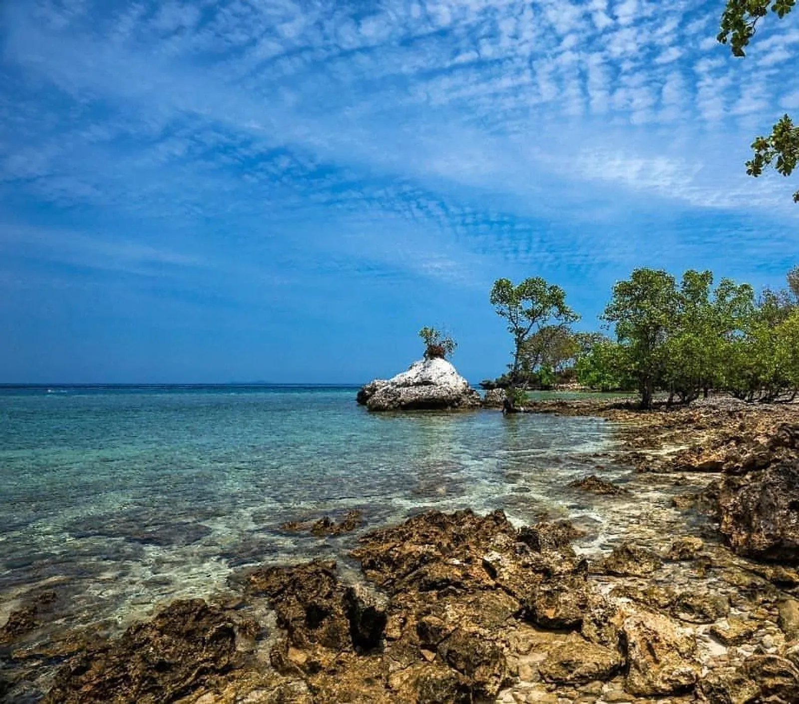 Wisata Bawah Laut di 5 Pulau Eksotis Indonesia Bagian Timur