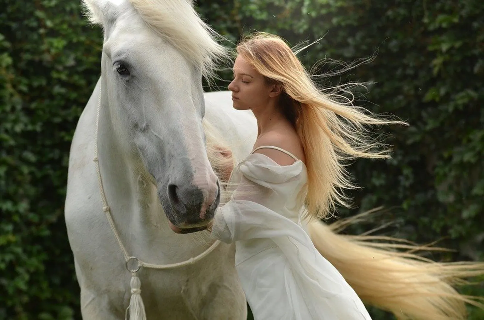 Ramalan Cinta Shio Kuda di Tahun 2020, Siap Bertemu yang Baru