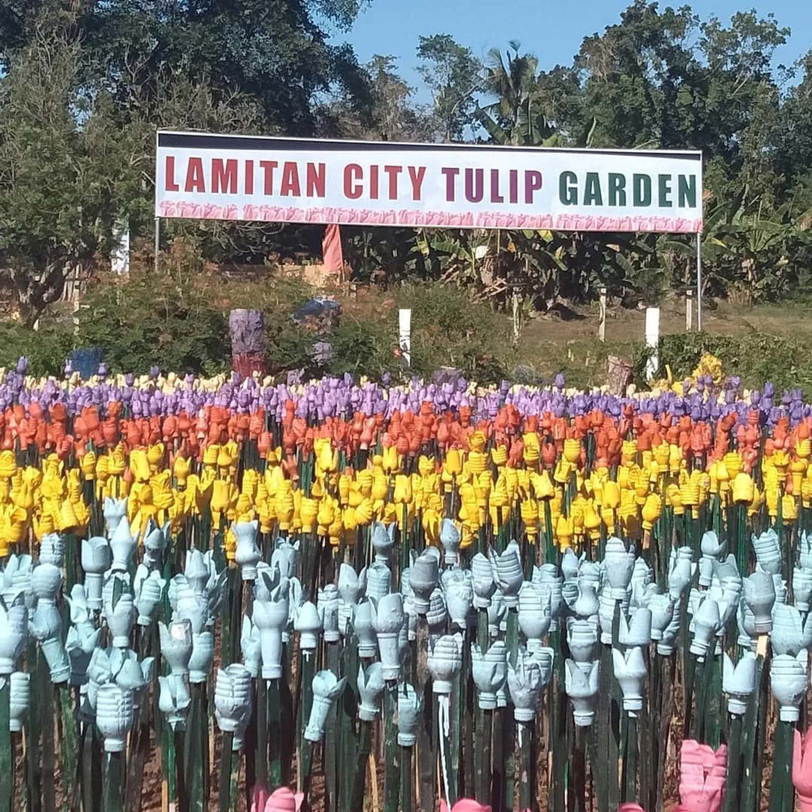 Kreatif, Taman Tulip di Filipina ini Dibuat dari Sampah Plastik