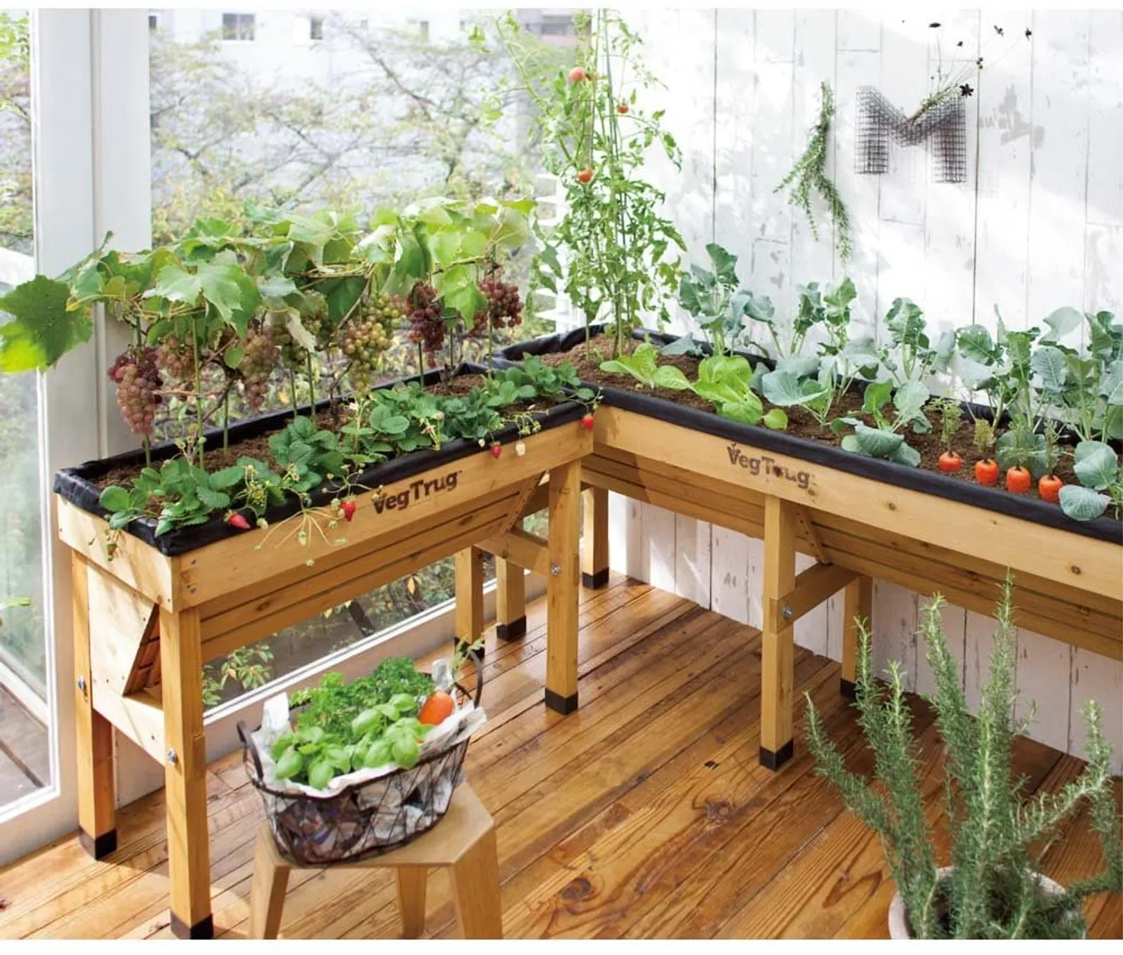 Ingin Berkebun Sayur di Rumah? Ini 8 Inspirasinya