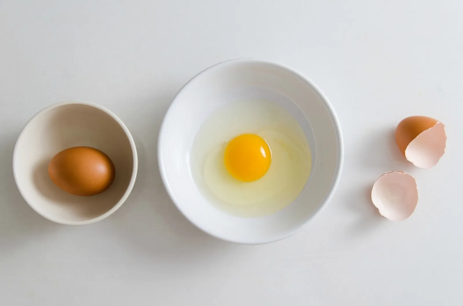 Ini Cara Mudah Membedakan Telur yang Bagus dengan Telur Busuk
