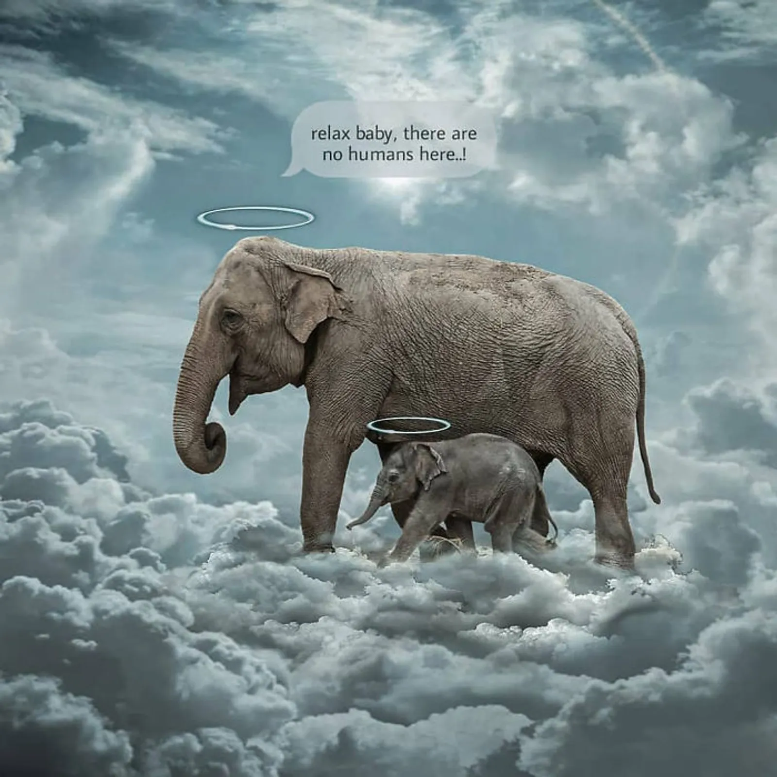 7 Ilustrasi Menyentuh Para Seniman untuk Kematian Gajah di Kerala
