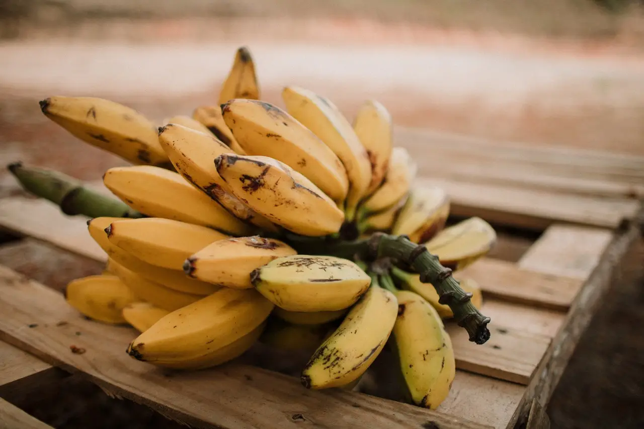 11 Makanan Sehat Ini Justru Bikin Sembelit, Apa Saja?