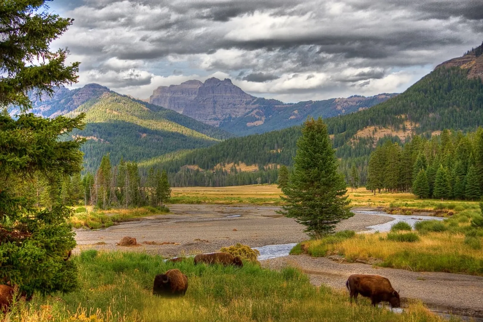 Taman Nasional di AS yang Bisa Sejukkan Mata