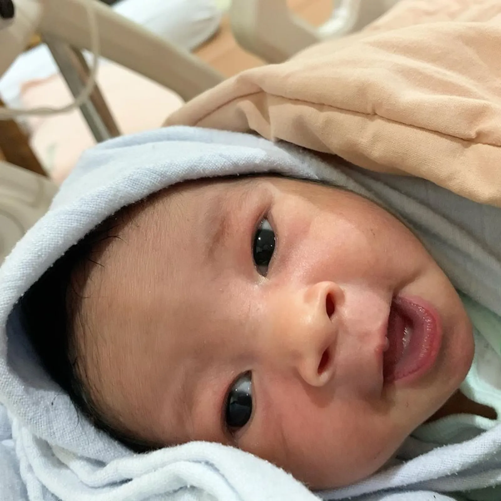 Vanessa Angel Lahirkan Anak Pertama, Ini Makna Namanya yang Unik
