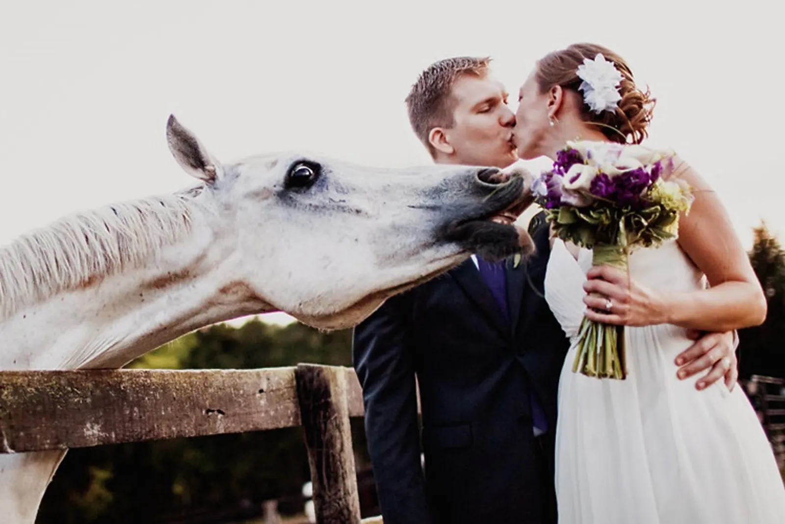 Gagal Romantis! 13 Foto Pernikahan Lucu Ini Justru Bikin Ngakak